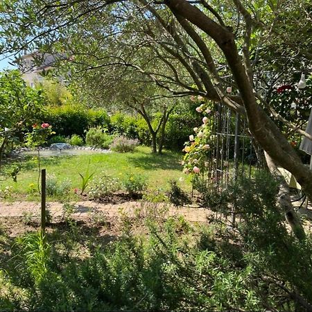 Studio Apartment Elena Zadar Dış mekan fotoğraf